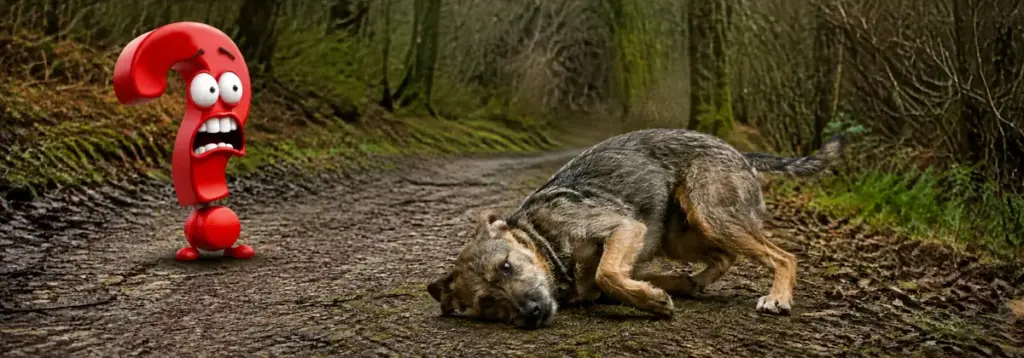 Ein drahthaariger Mischlingshund senkt Hals und Schulter zu einer stark riechenden Stelle am Waldrand; ein angewidertes rotes Fragezeichen hält Abstand.