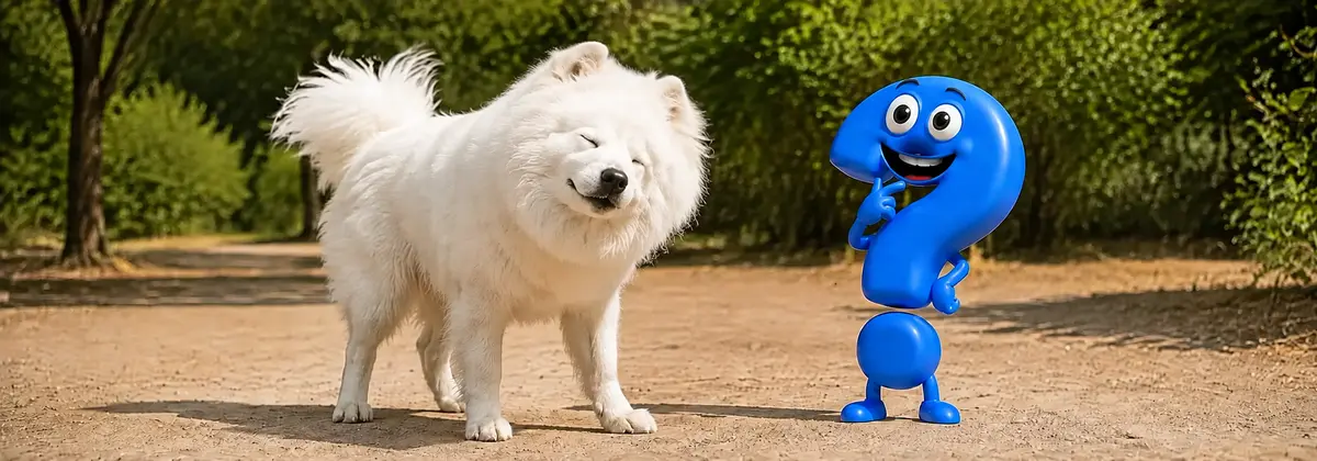 Hund schüttelt sich: Ein trockener Samojede schüttelt auf einem sonnigen Parkweg den ganzen Körper, während ein neugieriges blaues Fragezeichen zusieht.