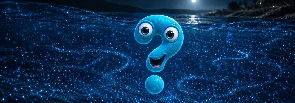 Blau leuchtendes Plankton umgibt das Question-King-Fragezeichen im nächtlichen Meer